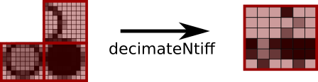 decimateNtiff